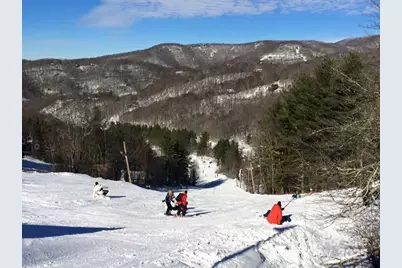 563 Bee Tree Lane, Mars Hill, NC 28754 - Photo 27
