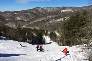 563 Bee Tree Ln, Mars Hill, NC 28754 - Photo 27