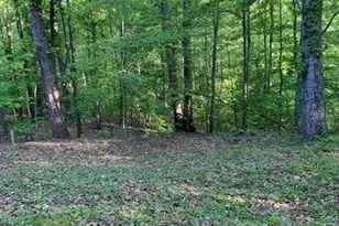 4200 Sunflower Ct, Gastonia, NC 28052 - Photo 15