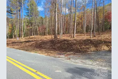 3298 Buffalo Creek Road, Lake Lure, NC 28746 - Photo 23