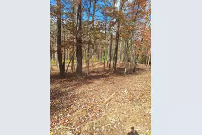 3298 Buffalo Creek Road, Lake Lure, NC 28746 - Photo 25