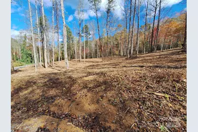 3298 Buffalo Creek Road, Lake Lure, NC 28746 - Photo 21