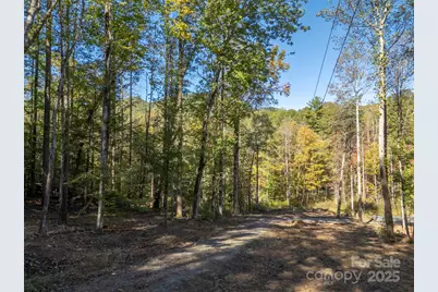 3298 Buffalo Creek Road, Lake Lure, NC 28746 - Photo 17