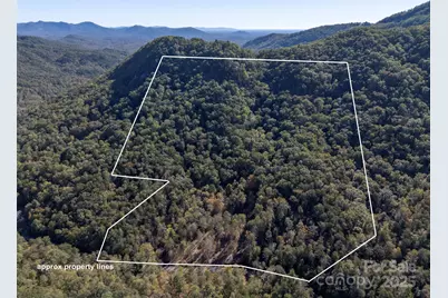 3298 Buffalo Creek Road, Lake Lure, NC 28746 - Photo 1