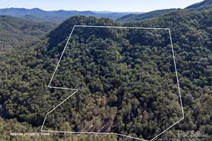 3298 Buffalo Creek Rd, Lake Lure, NC 28746 - Photo 1