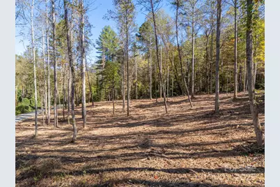3298 Buffalo Creek Road, Lake Lure, NC 28746 - Photo 19