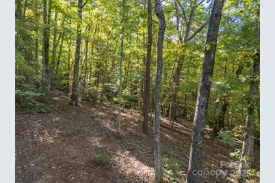 3298 Buffalo Creek Road, Lake Lure, NC 28746 - Photo 3