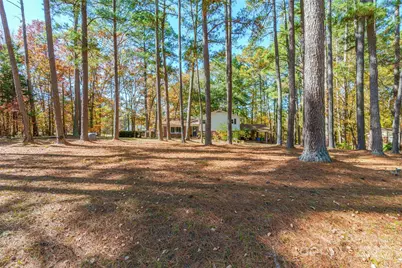 11060 Teresia Lane, Midland, NC 28107 - Photo 3
