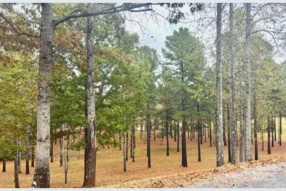 80 Grandview Loop, Nebo, NC 28761 - Photo 41