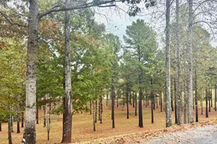 80 Grandview Loop, Nebo, NC 28761 - Photo 41