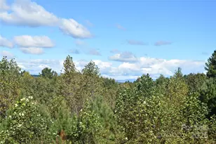 80 Grandview Loop, Nebo, NC 28761 - Photo 19