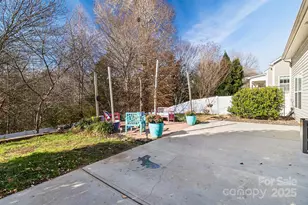 224 Morning Dew Lane, Mount Holly, NC 28120 - Photo 47