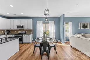 224 Morning Dew Lane, Mount Holly, NC 28120 - Photo 7