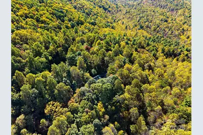 1308 Bell Mountain Road, Zirconia, NC 28790 - Photo 39