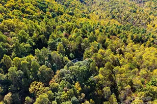 1308 Bell Mountain Rd, Zirconia, NC 28790 - Photo 39