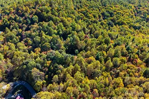 1308 Bell Mountain Rd, Zirconia, NC 28790 - Photo 37