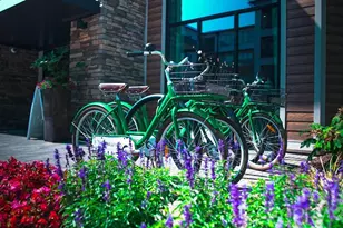 6408 Providence Farm Ln, Charlotte, NC 28277 - Photo 7