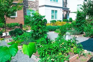 6408 Providence Farm Ln, Charlotte, NC 28277 - Photo 23