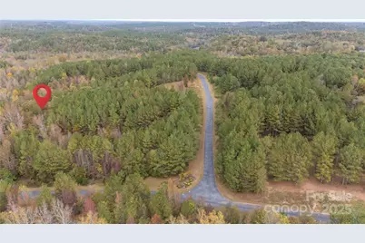 142 Broad River Highlands Drive, Mooresboro, NC 28114 - Photo 5