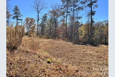 2381 Little Pine Road, Marshall, NC 28753 - Photo 37