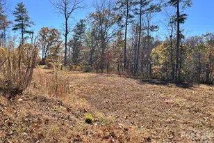 2381 Little Pine Rd, Marshall, NC 28753 - Photo 37