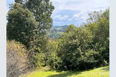 2381 Little Pine Road, Marshall, NC 28753 - Photo 7