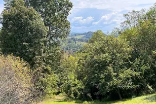 2381 Little Pine Rd, Marshall, NC 28753 - Photo 7