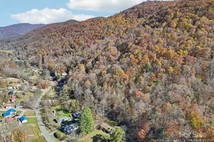 480 Paint Fork Rd, Barnardsville, NC 28709 - Photo 41