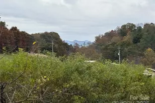 10 Scarlett Ridge Dr, Marshall, NC 28753 - Photo 13