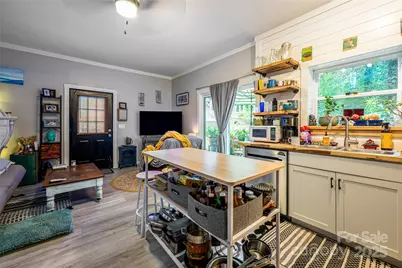 49 & 51 Mayapple Lane, Brevard, NC 28712 - Photo 35