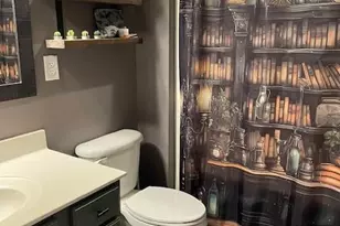 518 Pine Links Dr, Tega Cay, SC 29708 - Photo 35