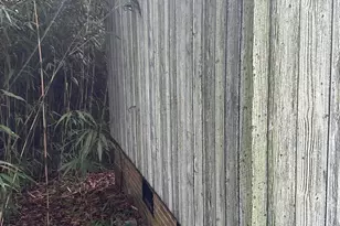 8485 Dogwood Dr, Kannapolis, NC 28081 - Photo 3