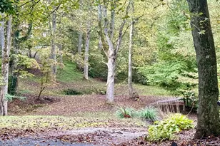 165 Orchard Ln, Brevard, NC 28712 - Photo 39