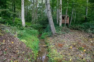 165 Orchard Ln, Brevard, NC 28712 - Photo 41