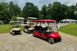 119 Coyote Dr, Marion, NC 28752 - Photo 15