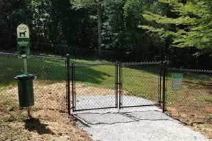 119 Coyote Dr, Marion, NC 28752 - Photo 13