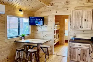 61 Coyote Dr, Marion, NC 28752 - Photo 3