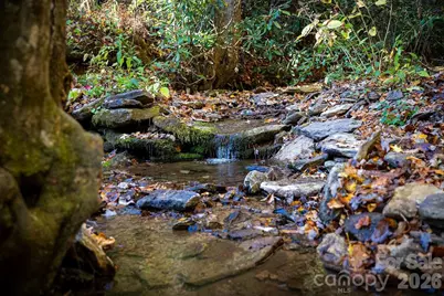 808 Mountain Cove Road, Hendersonville, NC 28792 - Photo 29