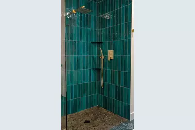 808 Mountain Cove Road, Hendersonville, NC 28792 - Photo 19