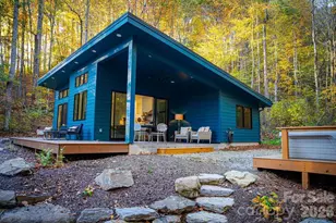 808 Mountain Cove Rd, Hendersonville, NC 28792 - Photo 33