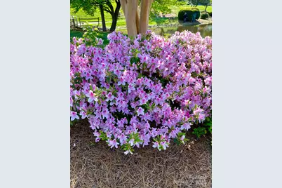 101 Keswick Lane, Mooresville, NC 28117 - Photo 43