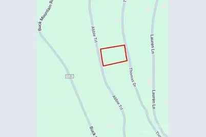 0000 Abbie Trail, West Jefferson, NC 28694 - Photo 3