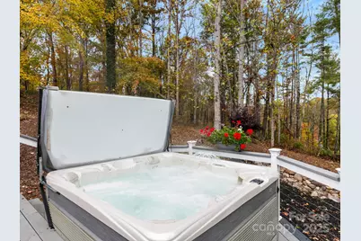 8 Alexander Chapel Drive, Asheville, NC 28804 - Photo 45