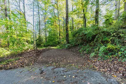 114 Courtney Lane, Candler, NC 28715 - Photo 27