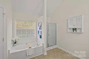 143 N Wendover Trace, Mooresville, NC 28117 - Photo 19