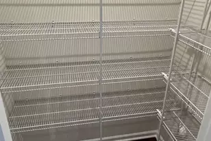 3159 Hutton Gdns Ln, Charlotte, NC 28269 - Photo 11