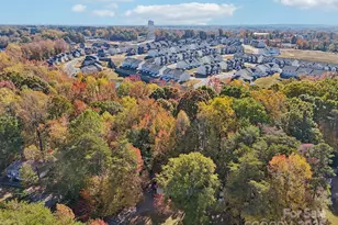 3196 Torrence Branch Dr, Fort Mill, SC 29708 - Photo 41