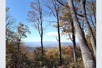 Lot 64 Feather Stone Drive, Fletcher, NC 28732 - Photo 5