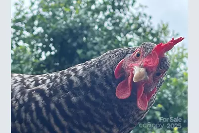 86 R and R Hyder Lane, Hendersonville, NC 28792 - Photo 39