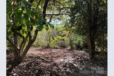 86 R and R Hyder Lane, Hendersonville, NC 28792 - Photo 27